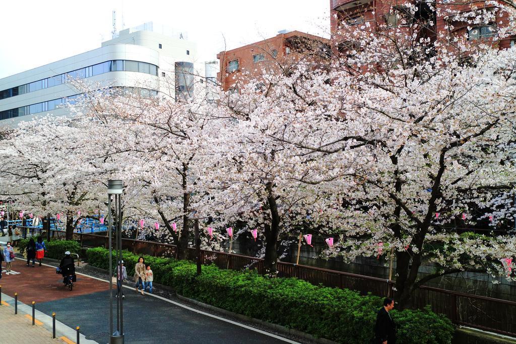 Appartamento Coto Tokyo Shibuya Esterno foto